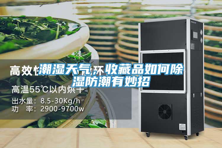 潮湿天气，收藏品如何除湿防潮有妙招