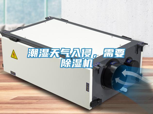 潮湿天气入侵，需要除湿机