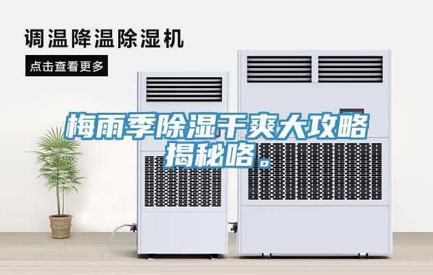 梅雨季除湿干爽大攻略揭秘咯。