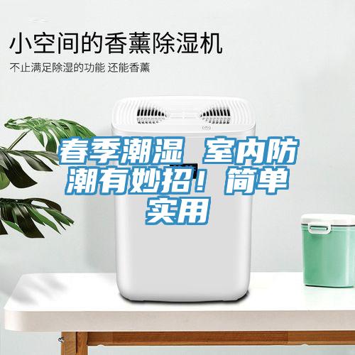 春季潮湿 室内防潮有妙招！简单实用