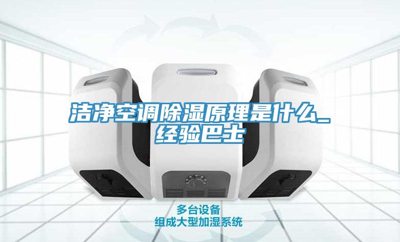 洁净空调除湿原理是什么_经验巴士