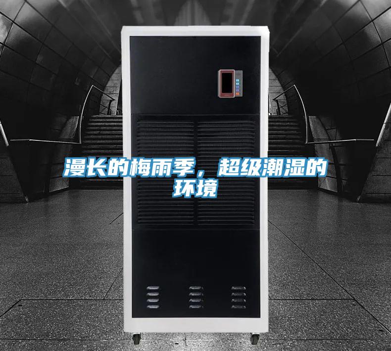 漫长的梅雨季，超级潮湿的环境