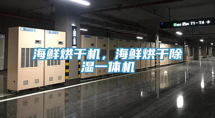 海鲜烘干机，海鲜烘干除湿一体机