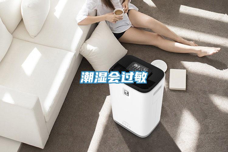 潮湿会过敏