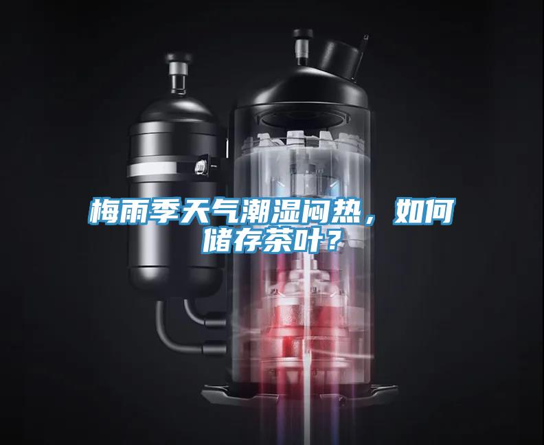 梅雨季天气潮湿闷热，如何储存茶叶？