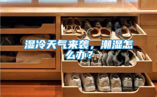 湿冷天气来袭，潮湿怎么办？