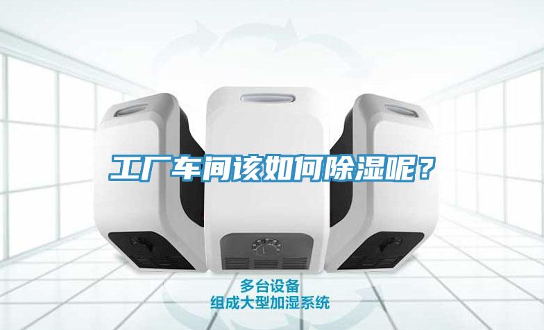 工厂车间该如何除湿呢？
