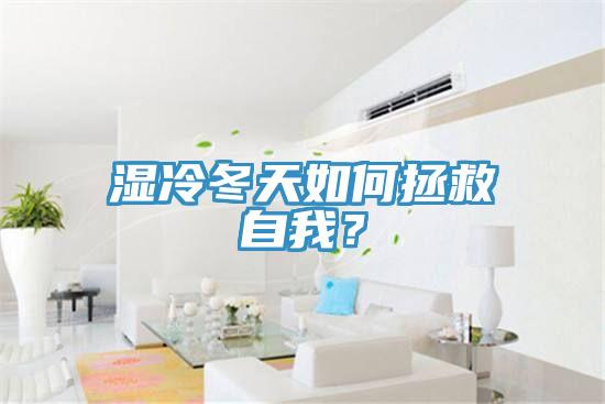 湿冷冬天如何拯救自我？