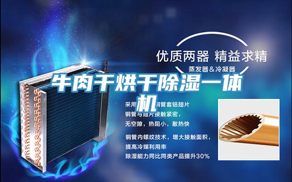 牛肉干烘干除湿一体机