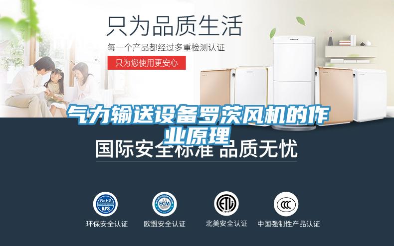 气力输送设备罗茨风机的作业原理