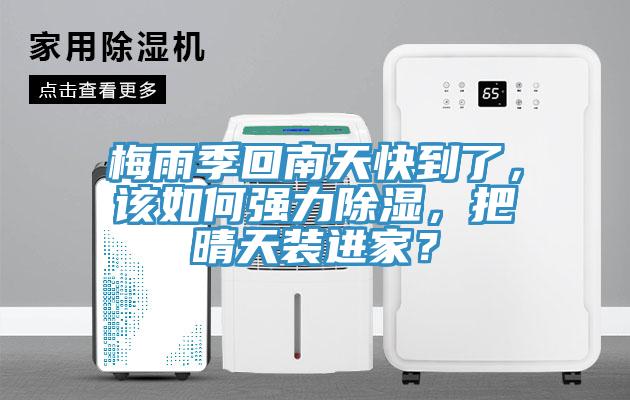 梅雨季回南天快到了，该如何强力除湿，把晴天装进家？