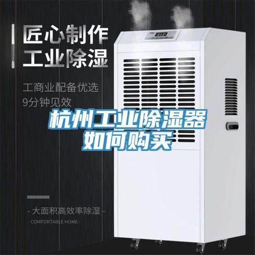 杭州工业除湿器如何购买
