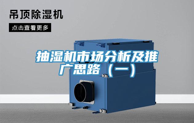 抽湿机市场分析及推广思路（一）