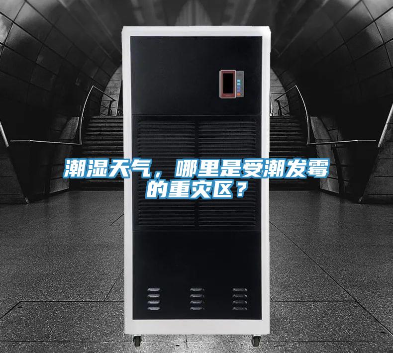 潮湿天气，哪里是受潮发霉的重灾区？