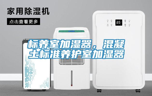 标养室加湿器，混凝土标准养护室加湿器