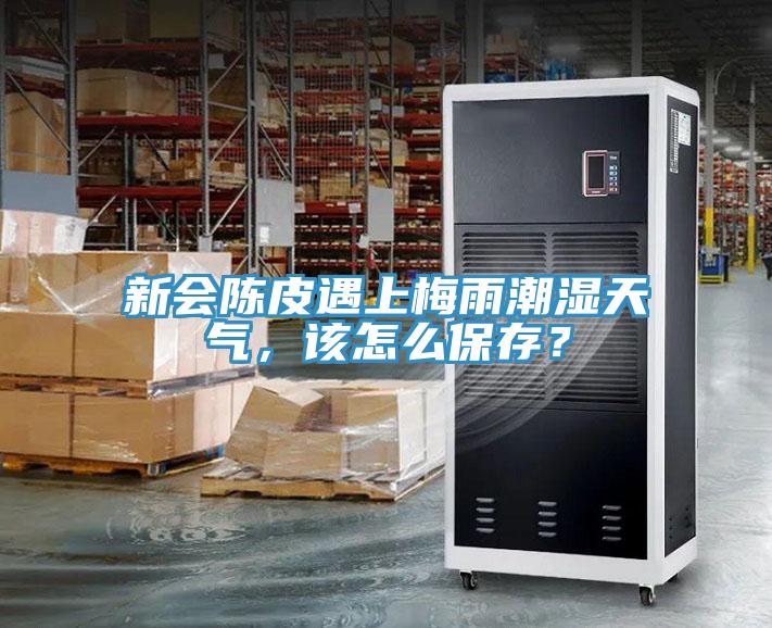 新会陈皮遇上梅雨潮湿天气，该怎么保存？