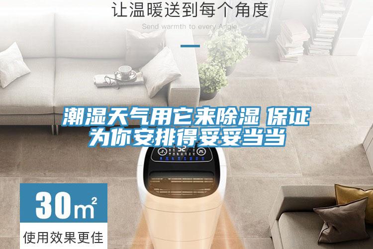 潮湿天气用它来除湿　保证为你安排得妥妥当当