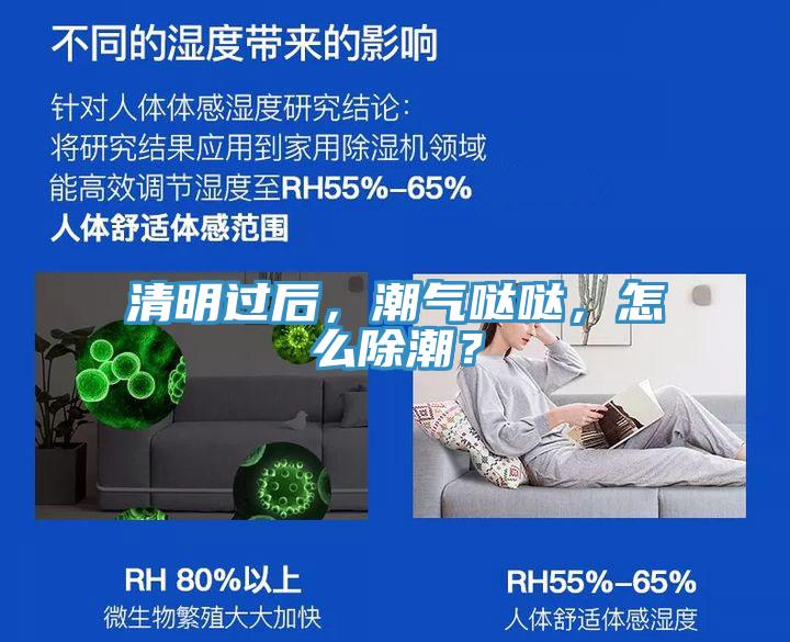 清明过后，潮气哒哒，怎么除潮？