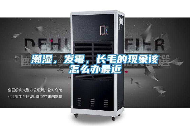 潮湿，发霉，长毛的现象该怎么办最近