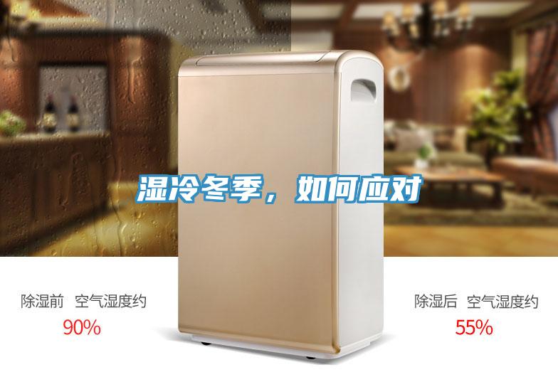 湿冷冬季，如何应对