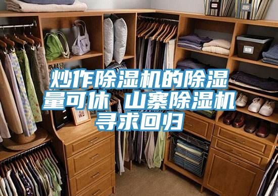 炒作除湿机的除湿量可休 山寨除湿机寻求回归
