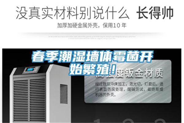 春季潮湿墙体霉菌开始繁殖！