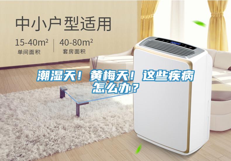 潮湿天！黄梅天！这些疾病怎么办？