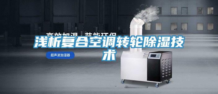 浅析复合空调转轮除湿技术