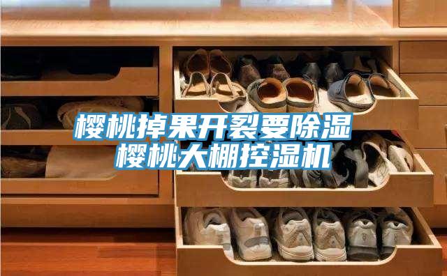 樱桃掉果开裂要除湿 樱桃大棚控湿机