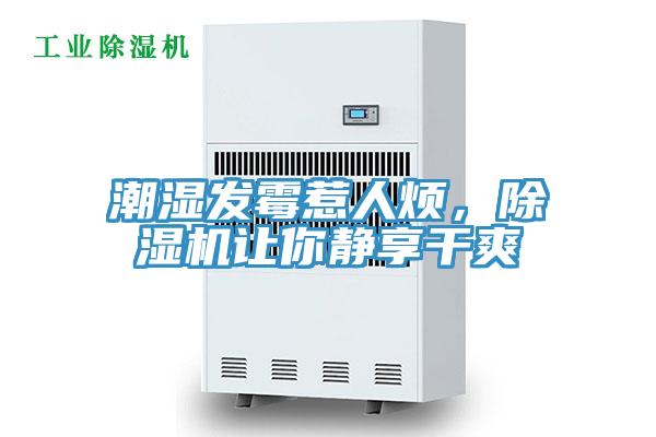 潮湿发霉惹人烦，除湿机让你静享干爽