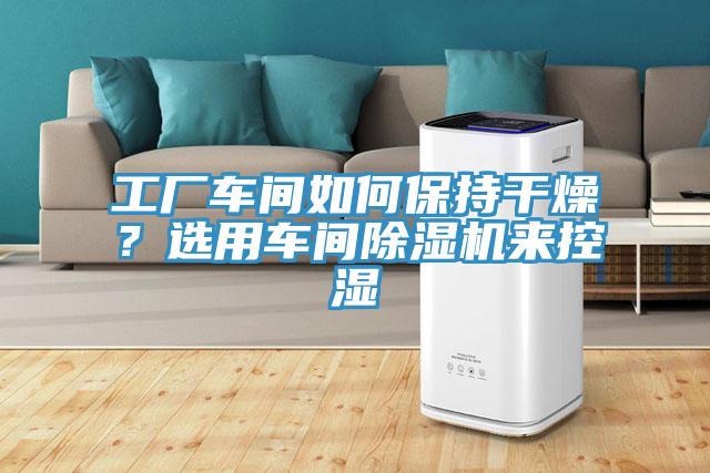 工厂车间如何保持干燥？选用车间除湿机来控湿