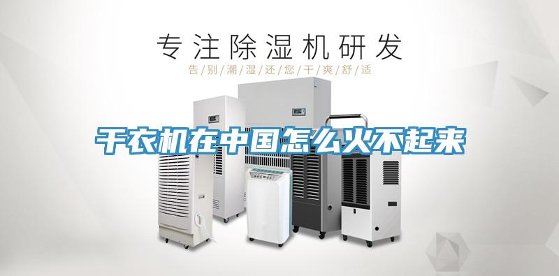 干衣机在中国怎么火不起来