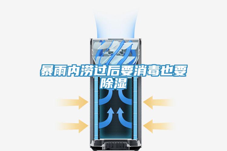 暴雨内涝过后要消毒也要除湿