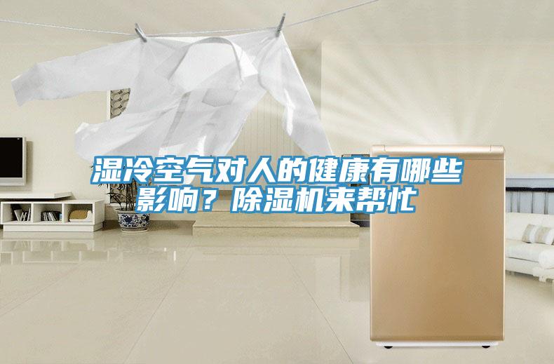湿冷空气对人的健康有哪些影响？除湿机来帮忙