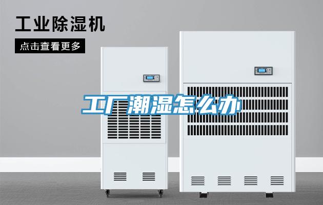 工厂潮湿怎么办
