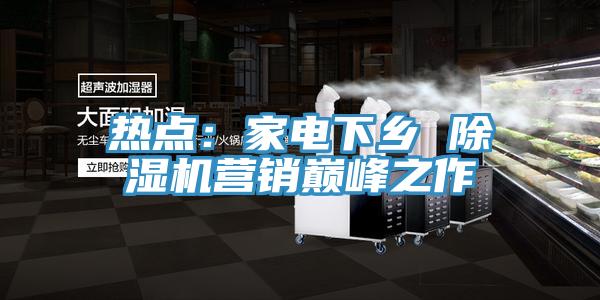 热点：家电下乡 除湿机营销巅峰之作