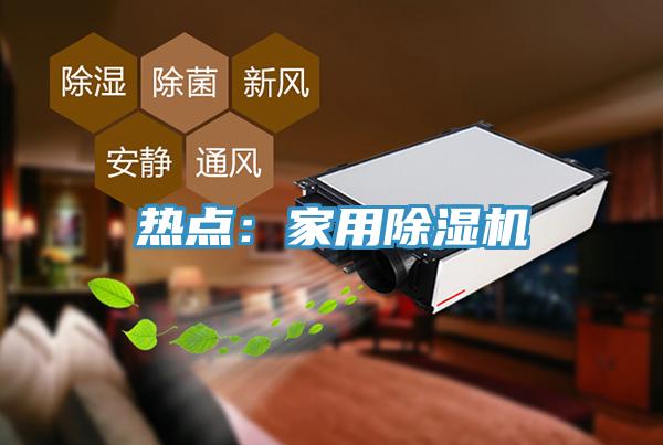 热点：家用除湿机
