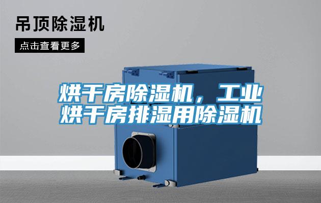 烘干房除湿机，工业烘干房排湿用除湿机