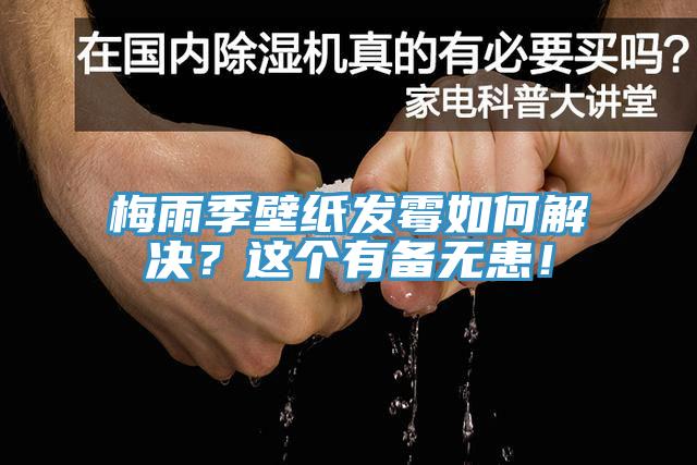 梅雨季壁纸发霉如何解决？这个有备无患！
