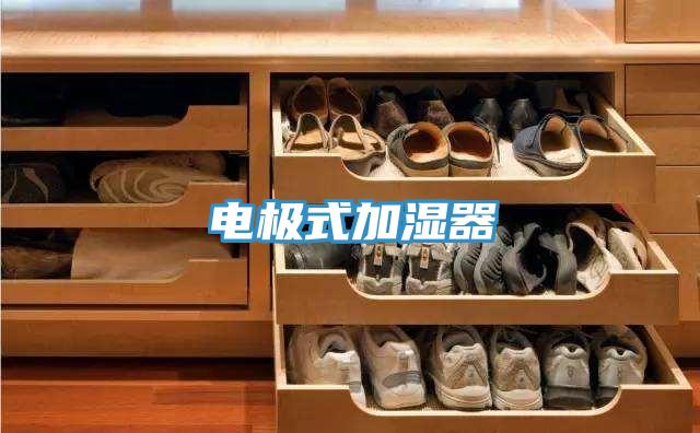 电极式加湿器