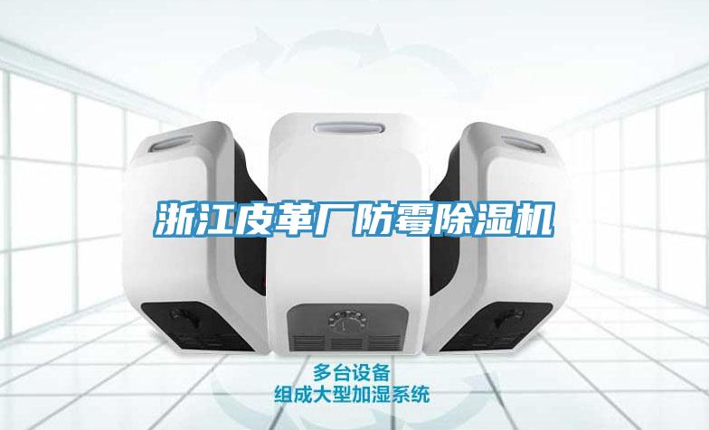 浙江皮革厂防霉除湿机