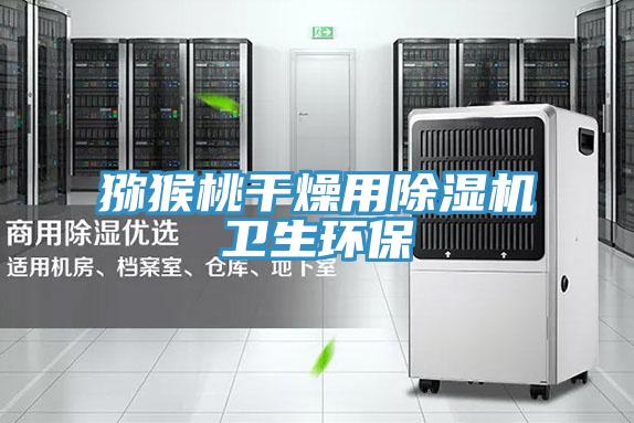 猕猴桃干燥用除湿机卫生环保