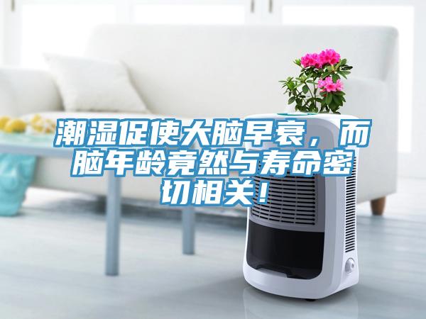 潮湿促使大脑早衰，而脑年龄竟然与寿命密切相关！