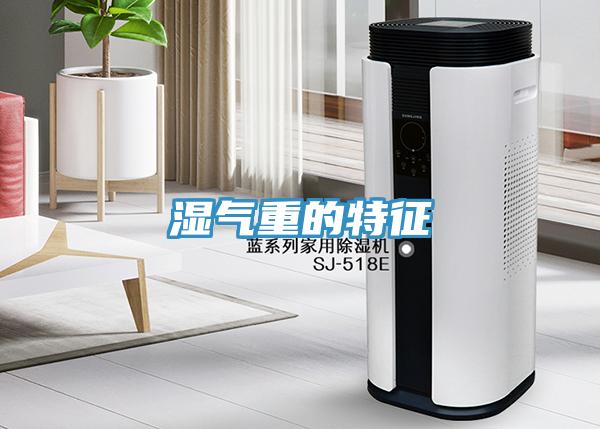 湿气重的特征