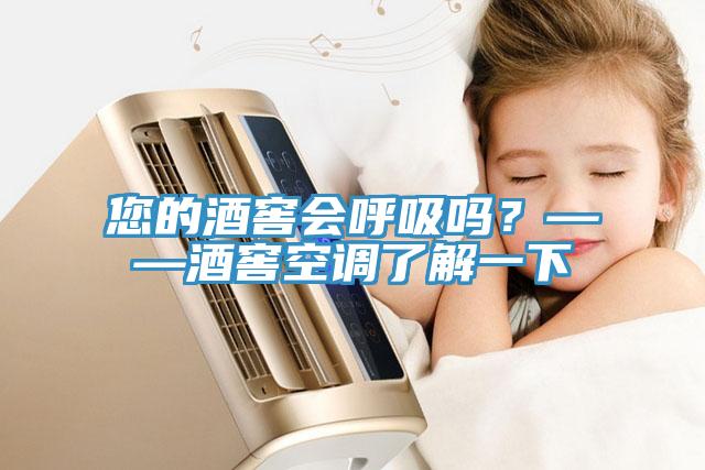 您的酒窖会呼吸吗？——酒窖空调了解一下