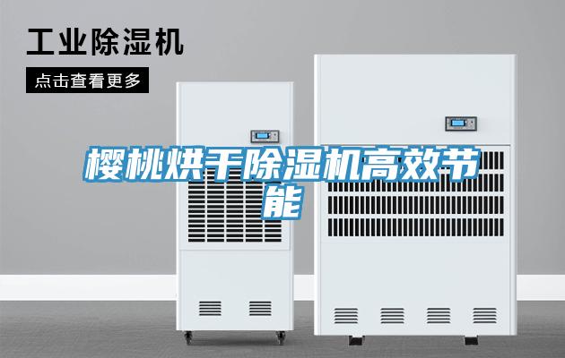 樱桃烘干除湿机高效节能