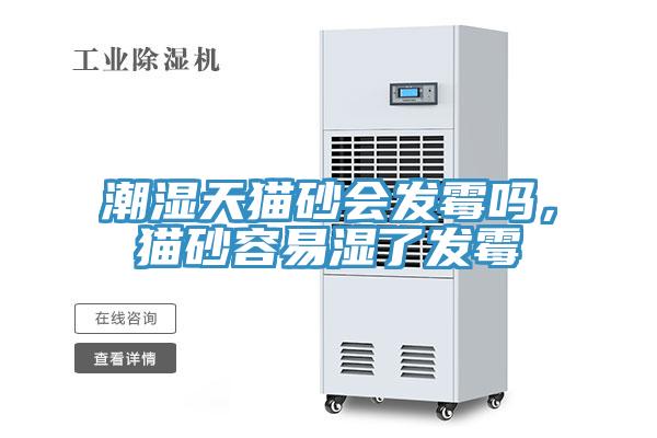 潮湿天猫砂会发霉吗，猫砂容易湿了发霉