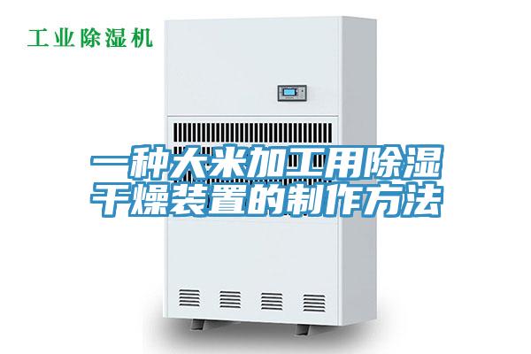 一种大米加工用除湿干燥装置的制作方法