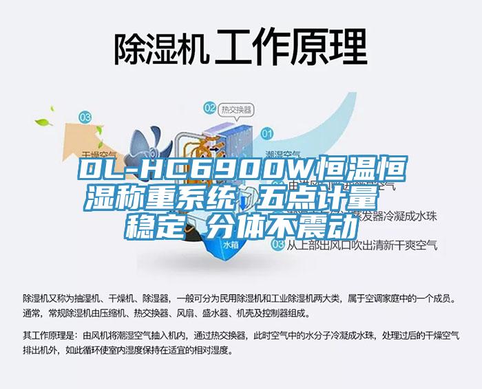 DL-HC6900W恒温恒湿称重系统 五点计量 稳定 分体不震动