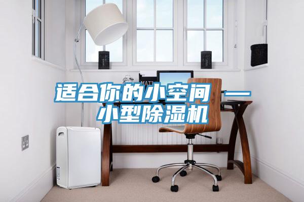 适合你的小空间 —小型除湿机